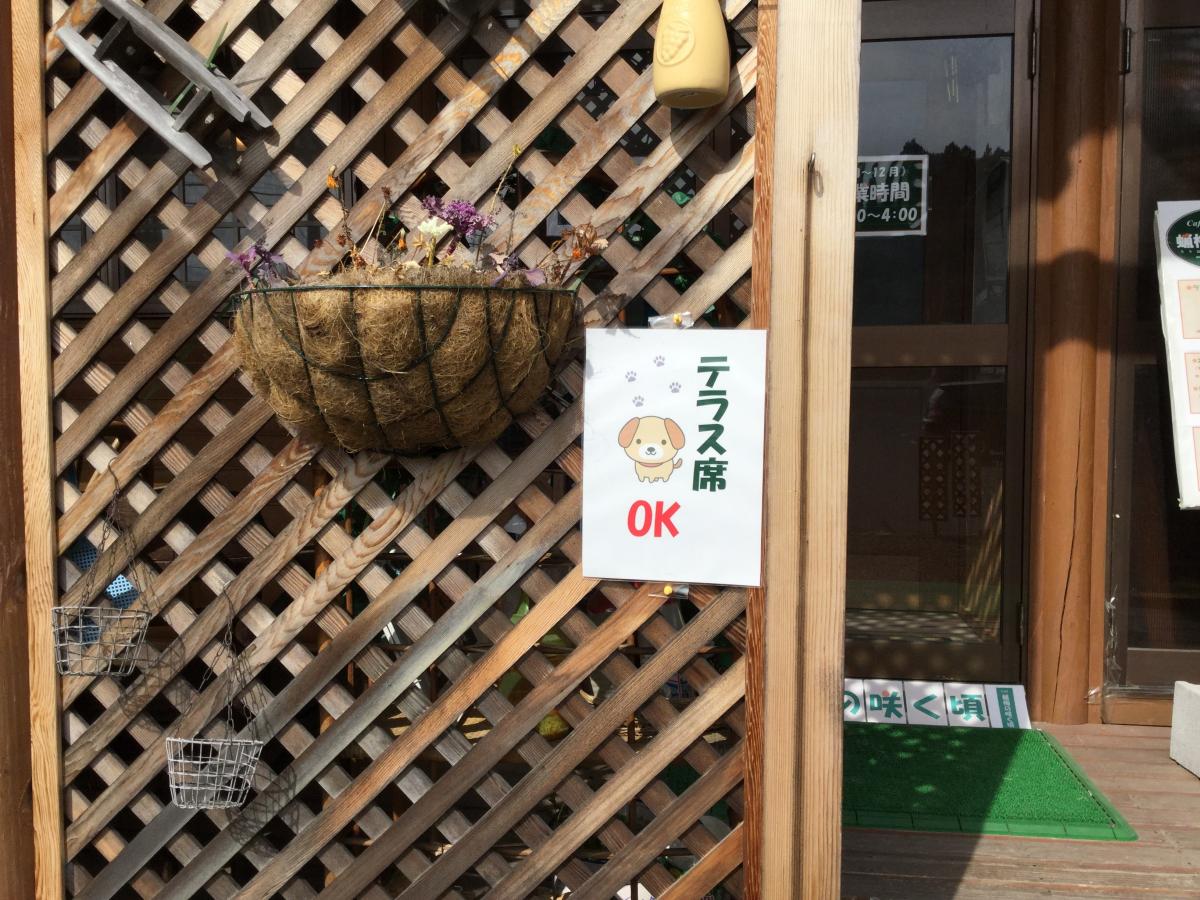 クックドア 蝋梅の咲く頃 宮城県