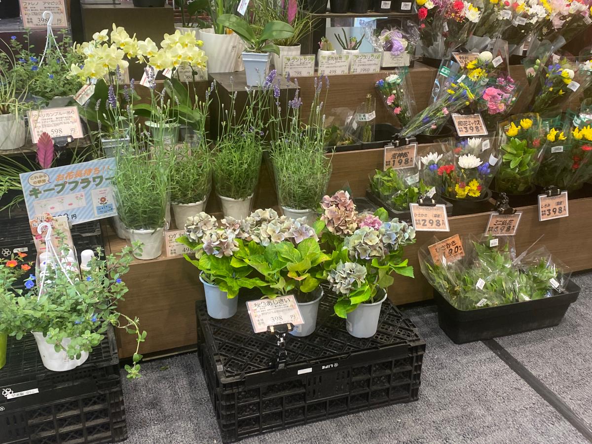 マーケットピア ライフ 若松河田駅前店 マーケットピア ライフ 若松河田駅前店