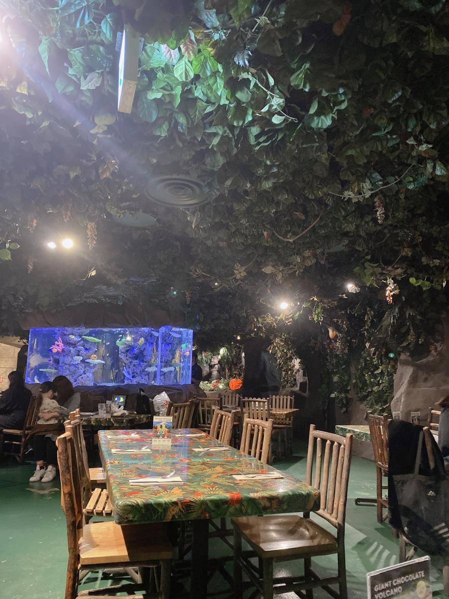 【クックドア】レインフォレストカフェ