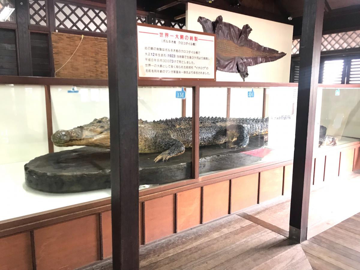 旅探 たびたん 鬼山地獄