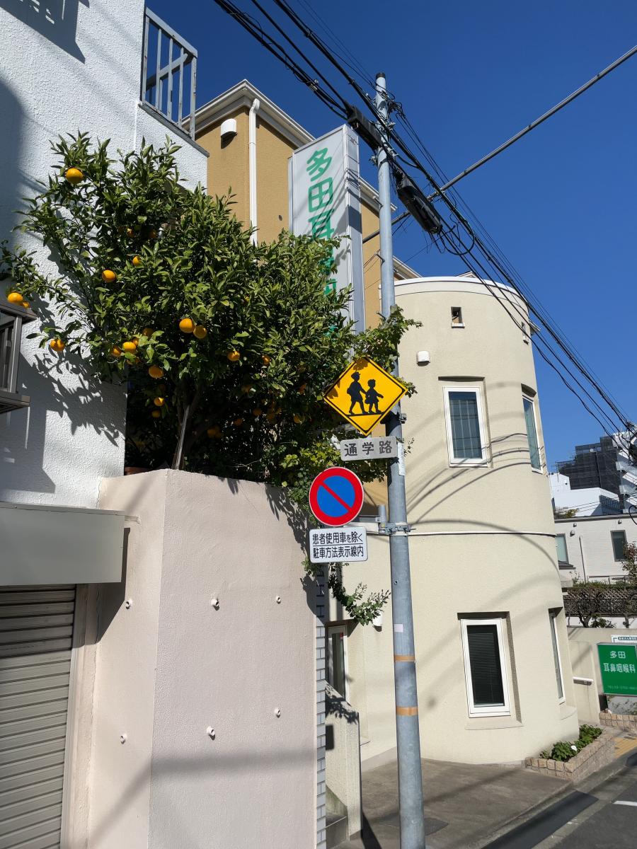 多田耳鼻咽喉科医院/ホームメイト 多田耳鼻咽喉科医院/ホームメイト