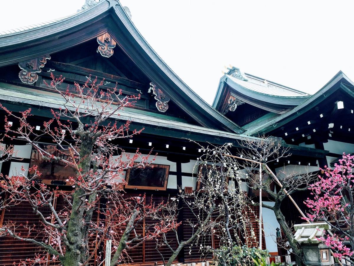 旅探 たびたん 大阪天満宮のコメント一覧 1ページ