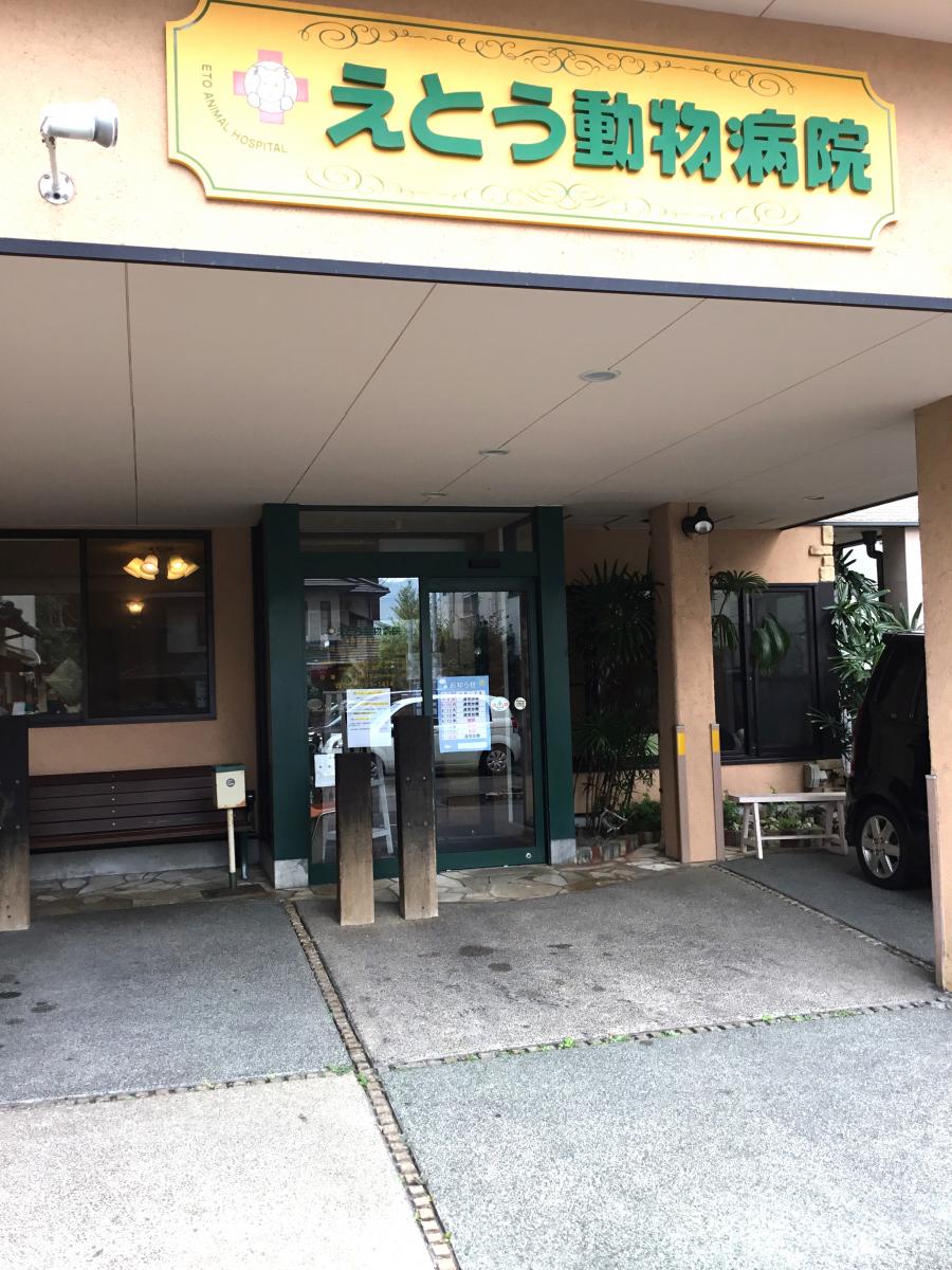 ドッグメディカル えとう動物病院 別府市南的ケ浜町