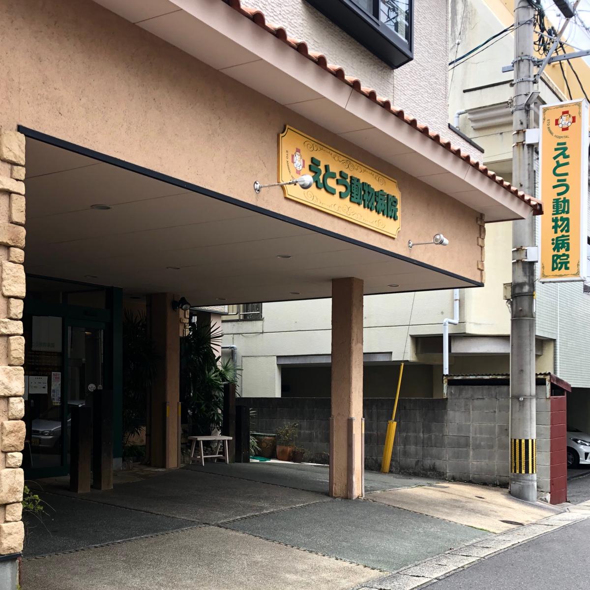 ドッグメディカル えとう動物病院 大分県別府市 投稿ユーザー写真集