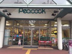 マーケットピア ピーコックストア花小金井店 小平市 周辺の生活施設情報