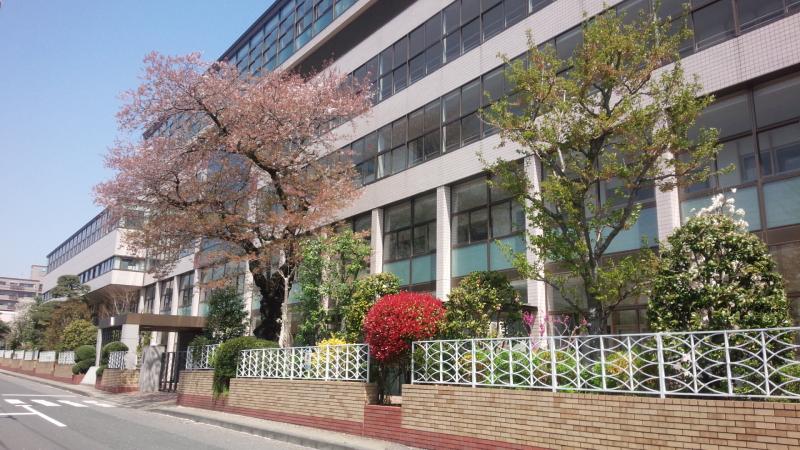 スタディピア 常磐大学高校 水戸市新荘