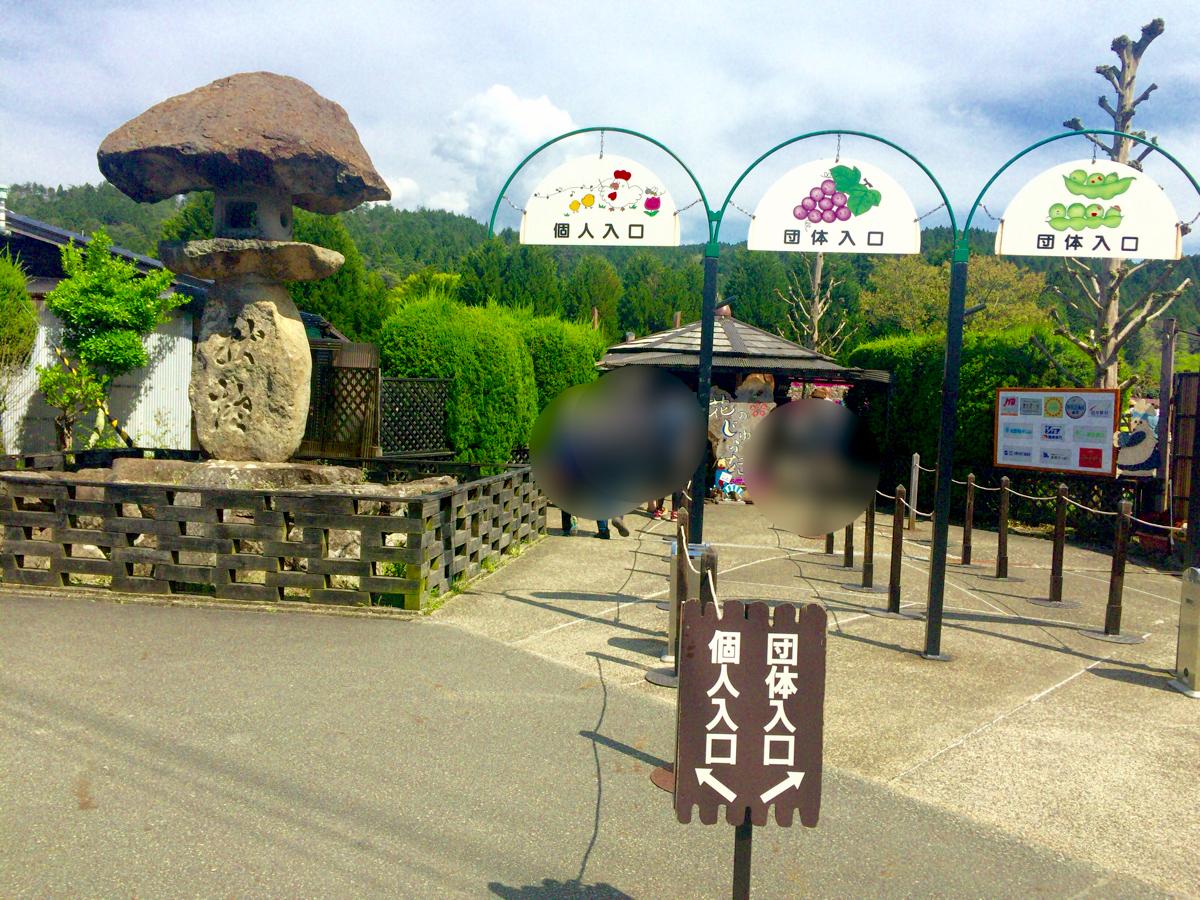 パブリネット 花のじゅうたん 三田市永沢寺