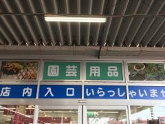 ユキサキナビ 今伊勢駅 一宮市 の周辺施設写真一覧
