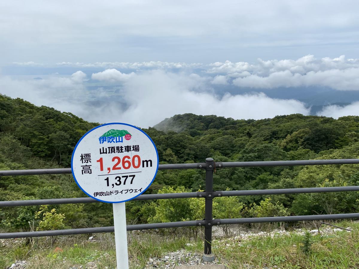 旅探 たびたん 伊吹山