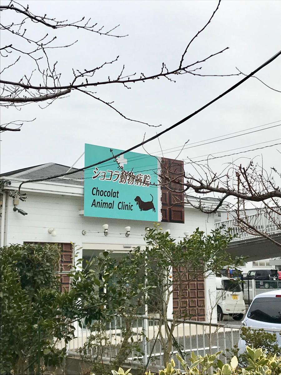 ドッグメディカル ショコラ動物病院 深谷市上柴町西