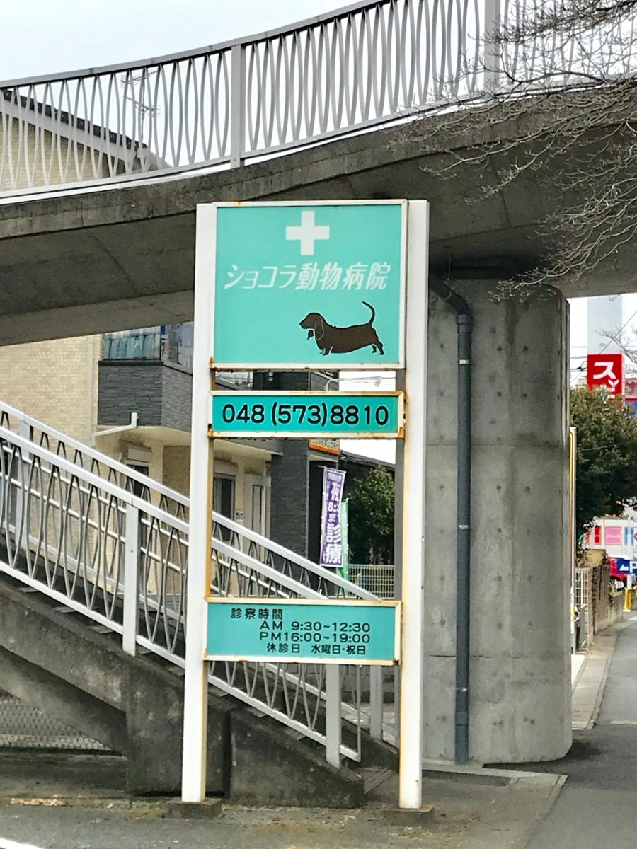 ドッグメディカル ショコラ動物病院 深谷市上柴町西