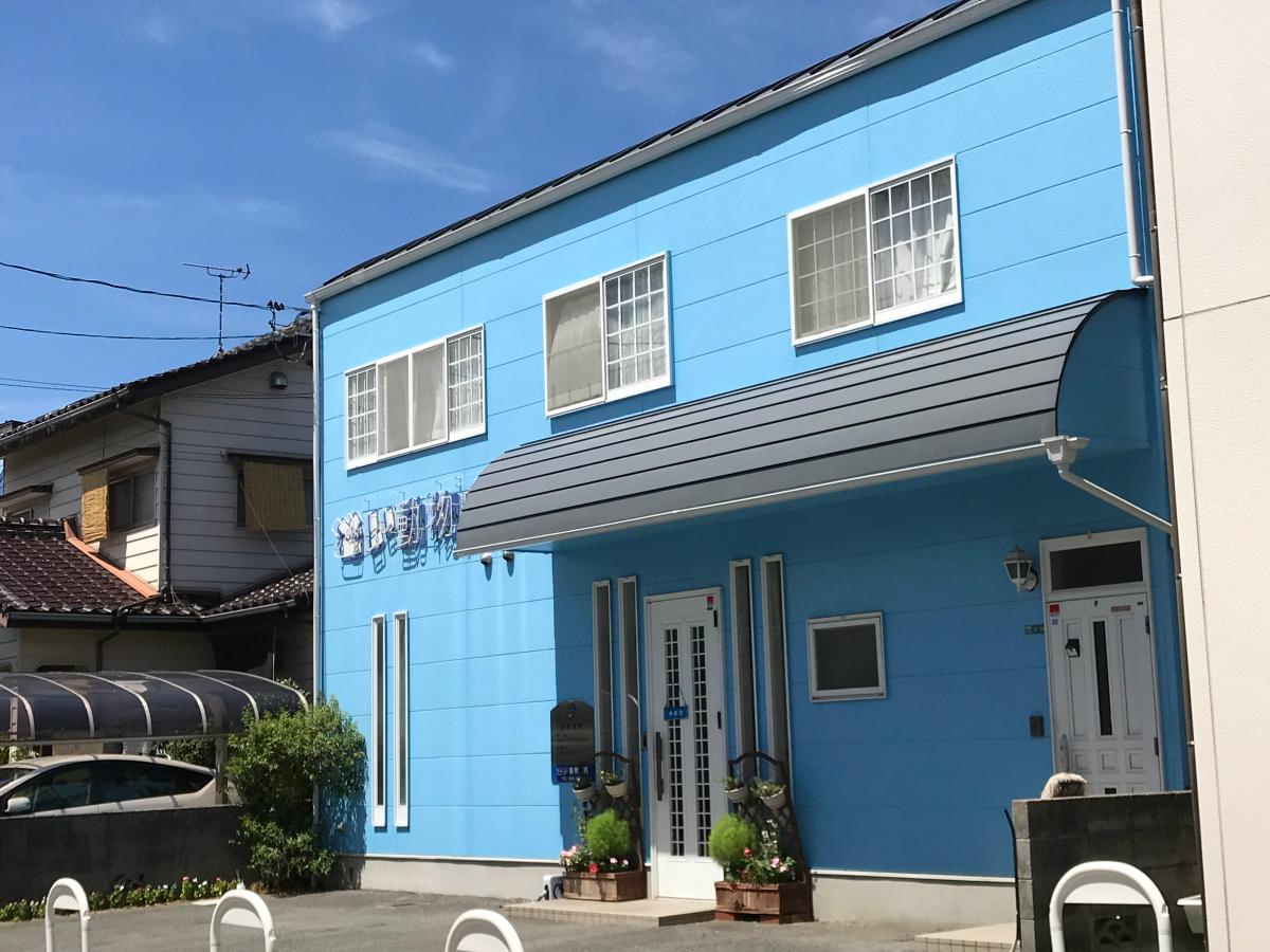 ドッグメディカル どい動物病院 松山市和泉南