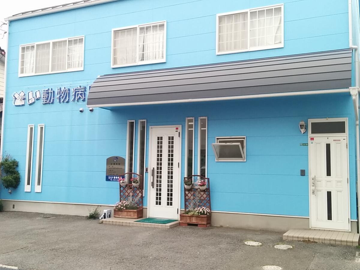 ドッグメディカル どい動物病院 松山市和泉南