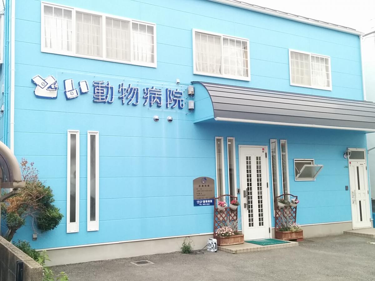 ドッグメディカル どい動物病院 松山市和泉南