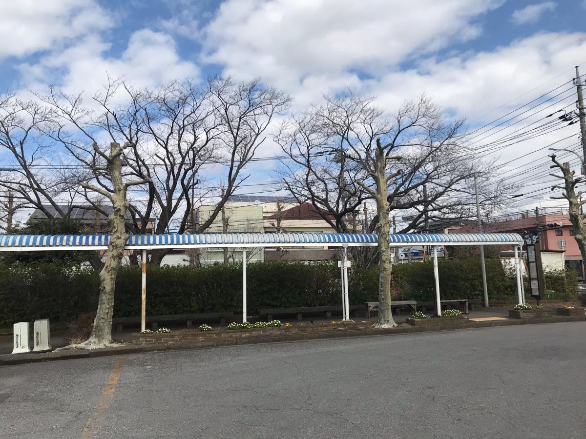 【ユキサキナビ】千葉中央バス「大宮団地」バス停留所(千葉市若葉区大宮台) 【ユキサキナビ】千葉中央バス「大宮団地」バス停留所(千葉市若葉区大宮台)