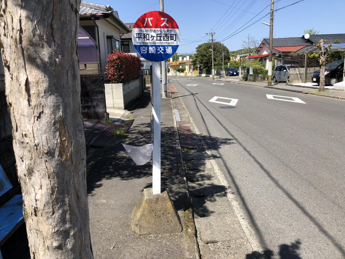 クックドア ペニーレイン 宮崎県宮崎市 周辺施設口コミ 写真 動画