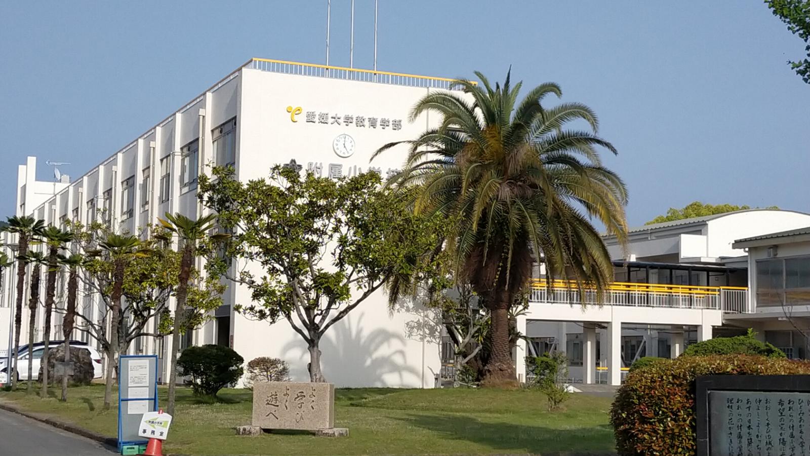 愛媛大学教育学部附属小学校の投稿写真一覧／ホームメイト