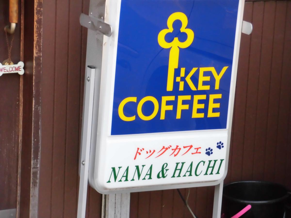 クックドア ドッグカフェナナ ハチ