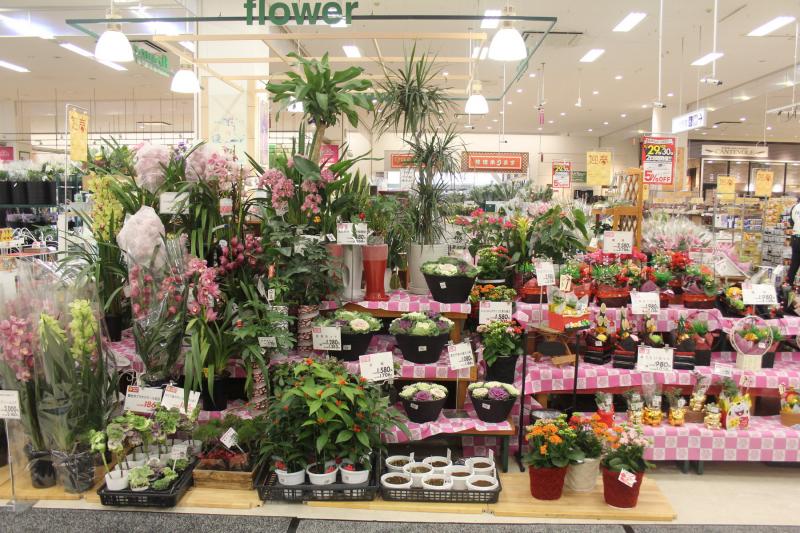 マーケットピア イオン 堺北花田店 堺市北区 の投稿写真一覧