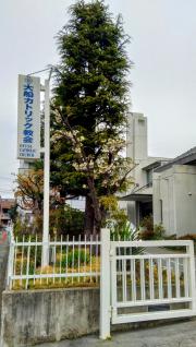 クックドア リメッタバル 神奈川県鎌倉市 施設周辺の観光名所 旅行 温泉 レジャー一覧 1ページ目