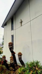 クックドア かつらぎ 神奈川県鎌倉市 施設周辺の観光名所 旅行 温泉 レジャー一覧 1ページ目