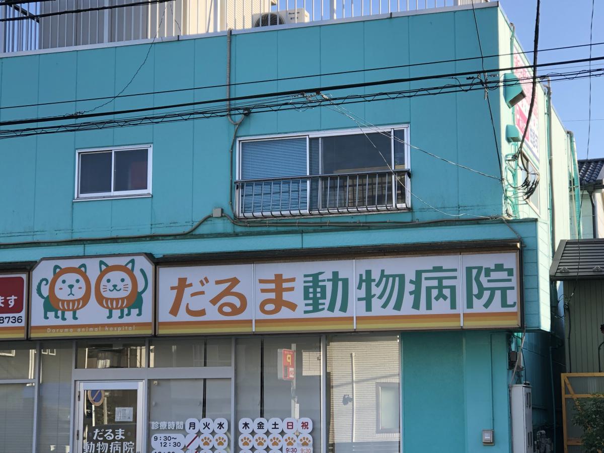 ドッグメディカル だるま動物病院