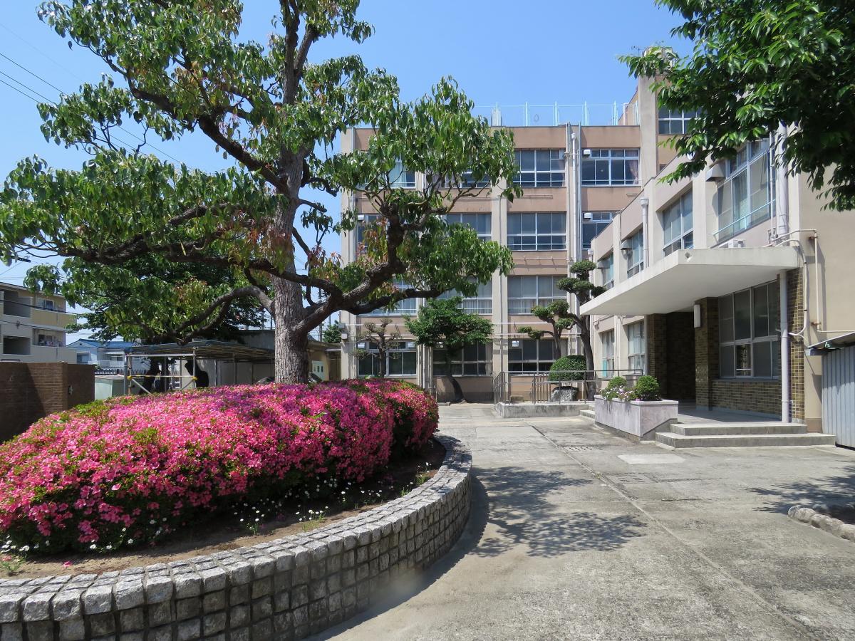 【スタディピア】大阪市立新巽中学校/ホームメイト 【スタディピア】大阪市立新巽中学校/ホームメイト