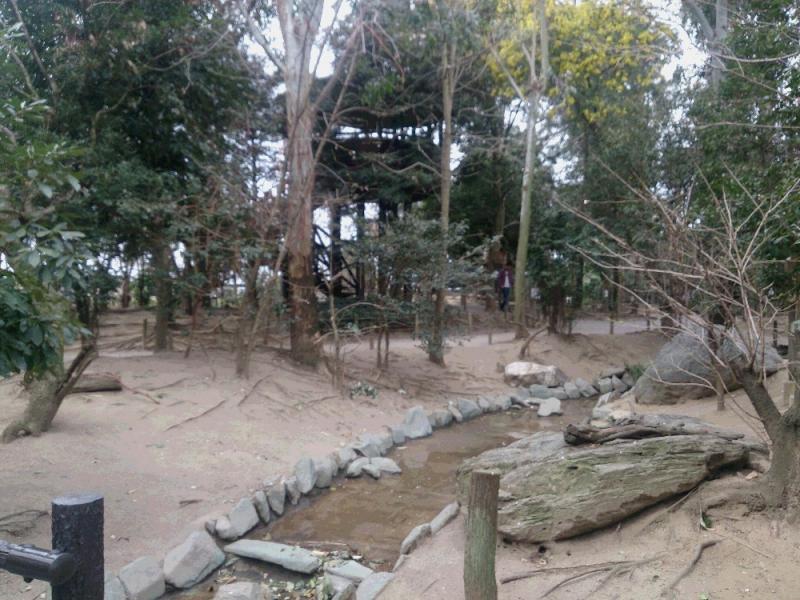 ホームメイト シニア ケアタウンつどい大沢 埼玉県越谷市のサ高住 サービス付き高齢者向け住宅