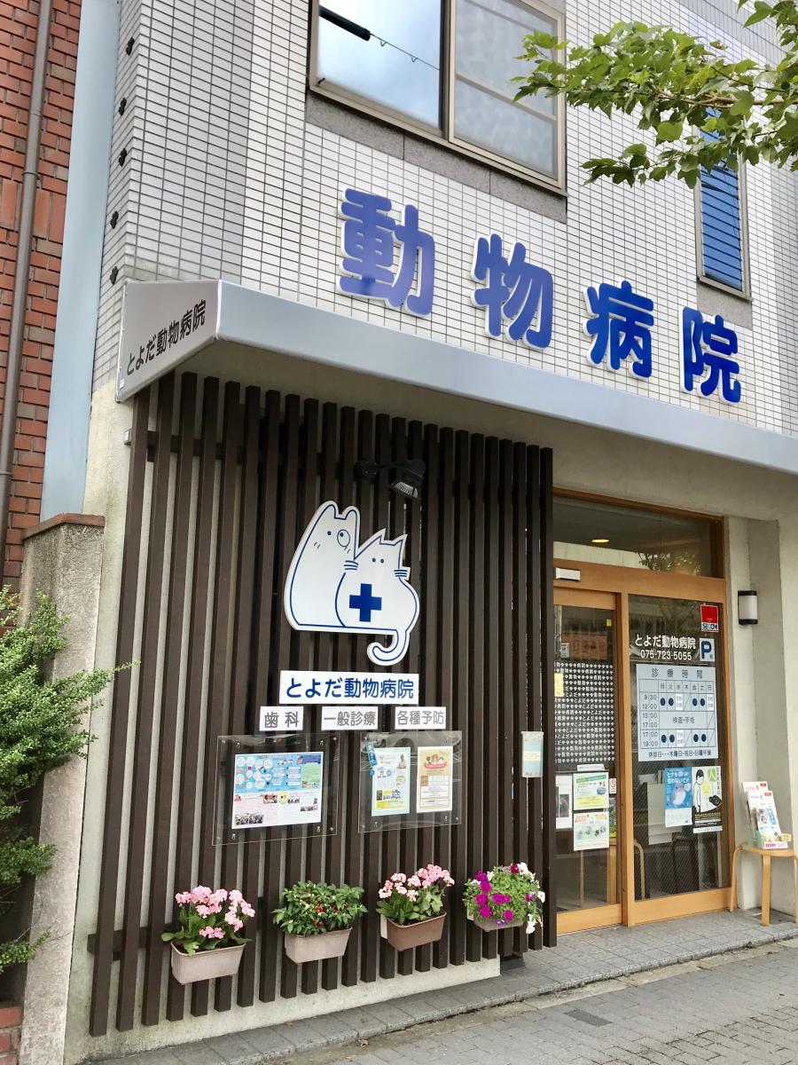 ドッグメディカル とよだ動物病院 京都市左京区下鴨高木町