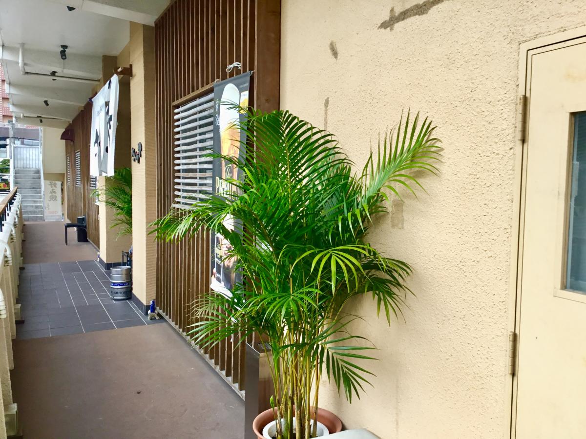 クックドア さくらや 沖縄県那覇市 の投稿写真一覧