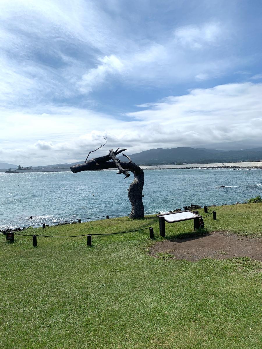 パブリネット 気仙沼公園 パブリネット 気仙沼公園