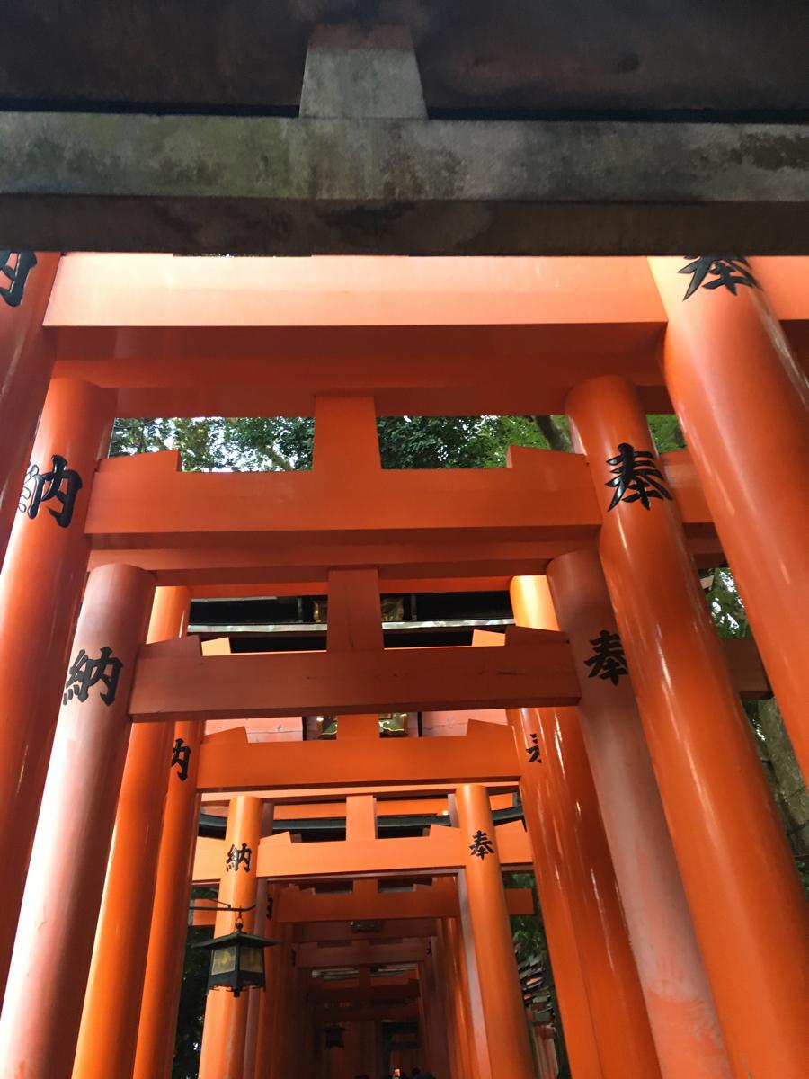 旅探 たびたん 伏見稲荷大社のコメント一覧 4ページ
