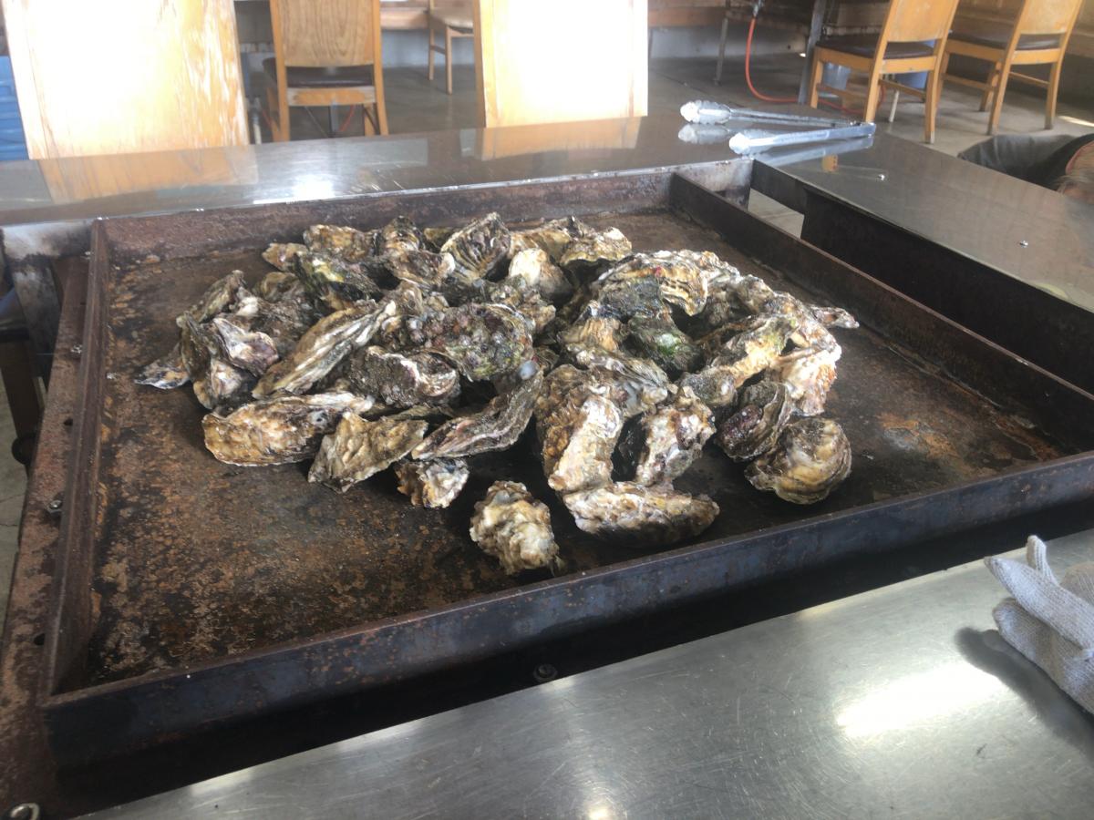 クックドア かき焼うちの海