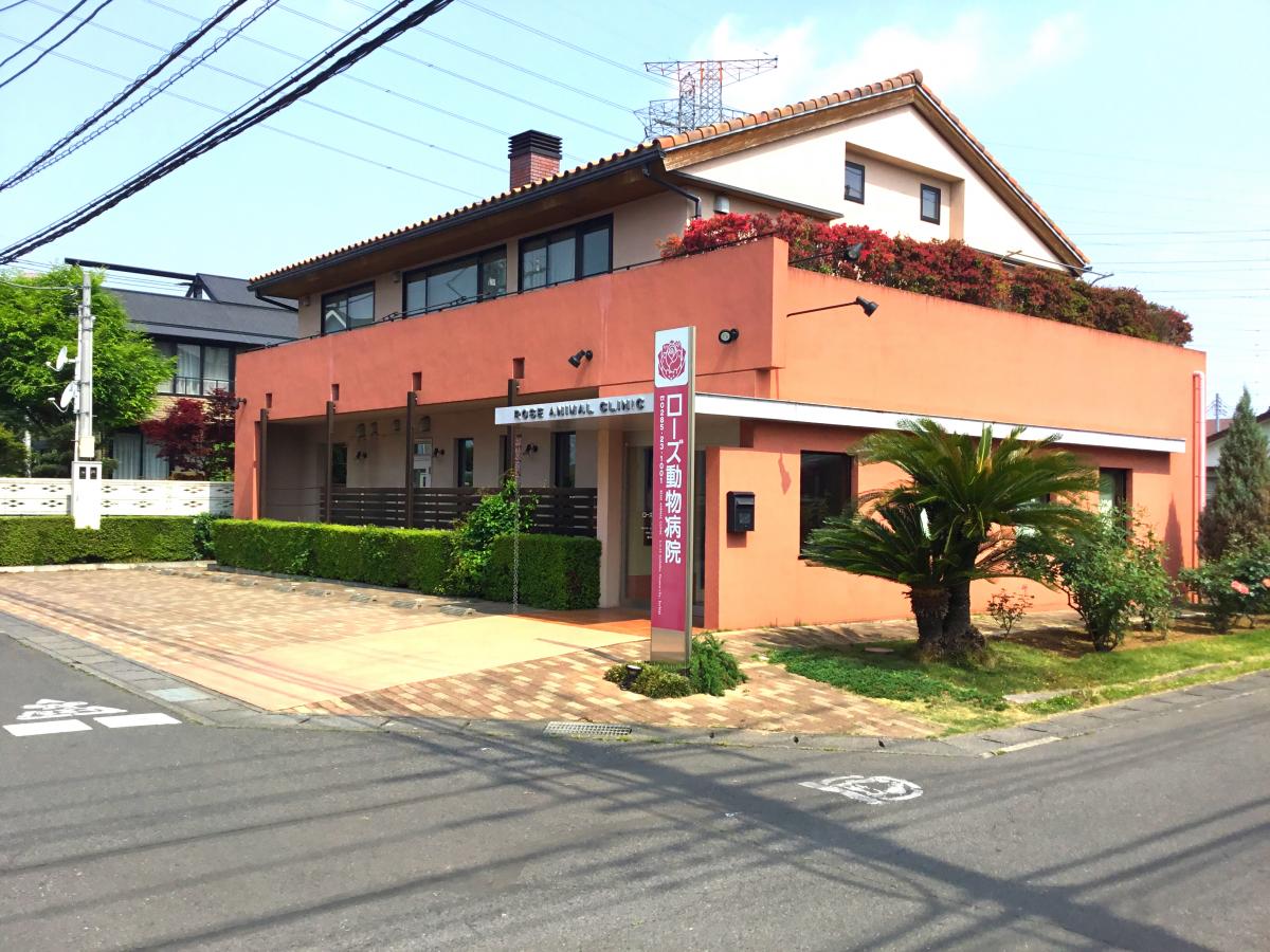 ドッグメディカル ローズ動物病院