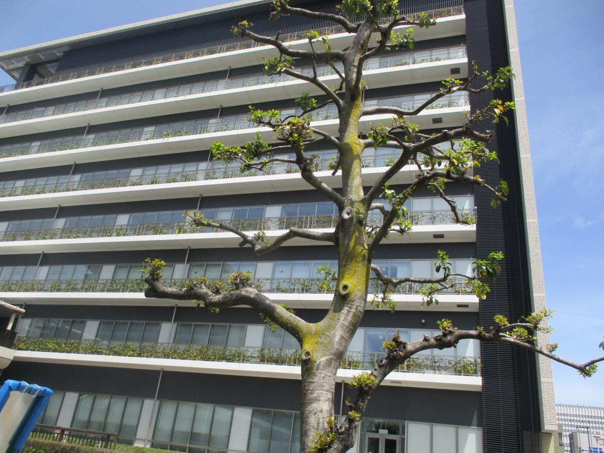 パブリネット 豊田市保健所