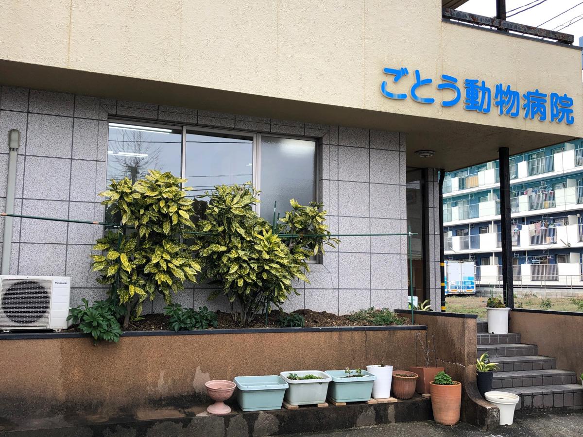 ドッグメディカル ごとう動物病院 熊本市中央区新大江