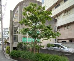 ドクターマップ 中島レディースクリニック 枚方市岡東町