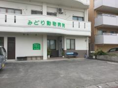 ドッグメディカル ｔａｍａ動物病院 沖縄市古謝