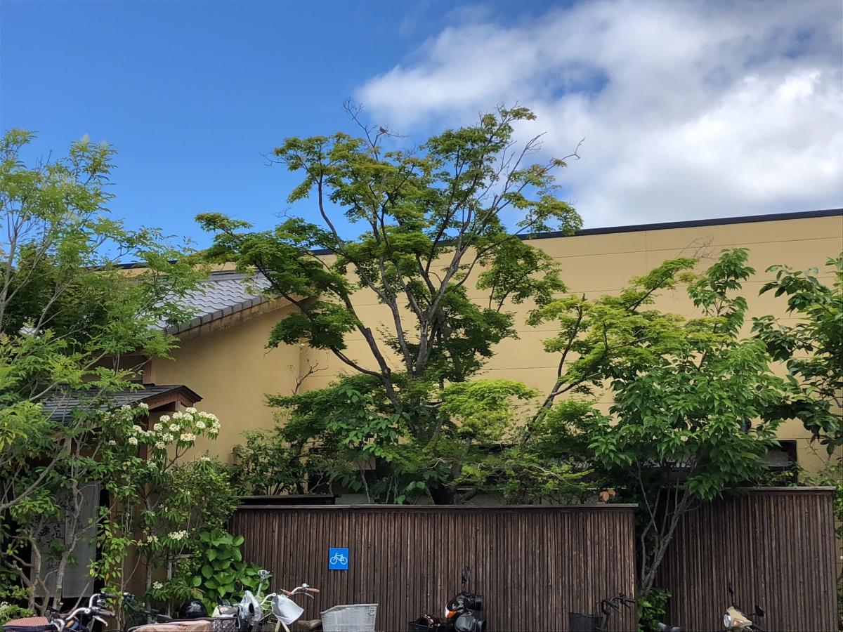 クックドア 梅の花 高槻店