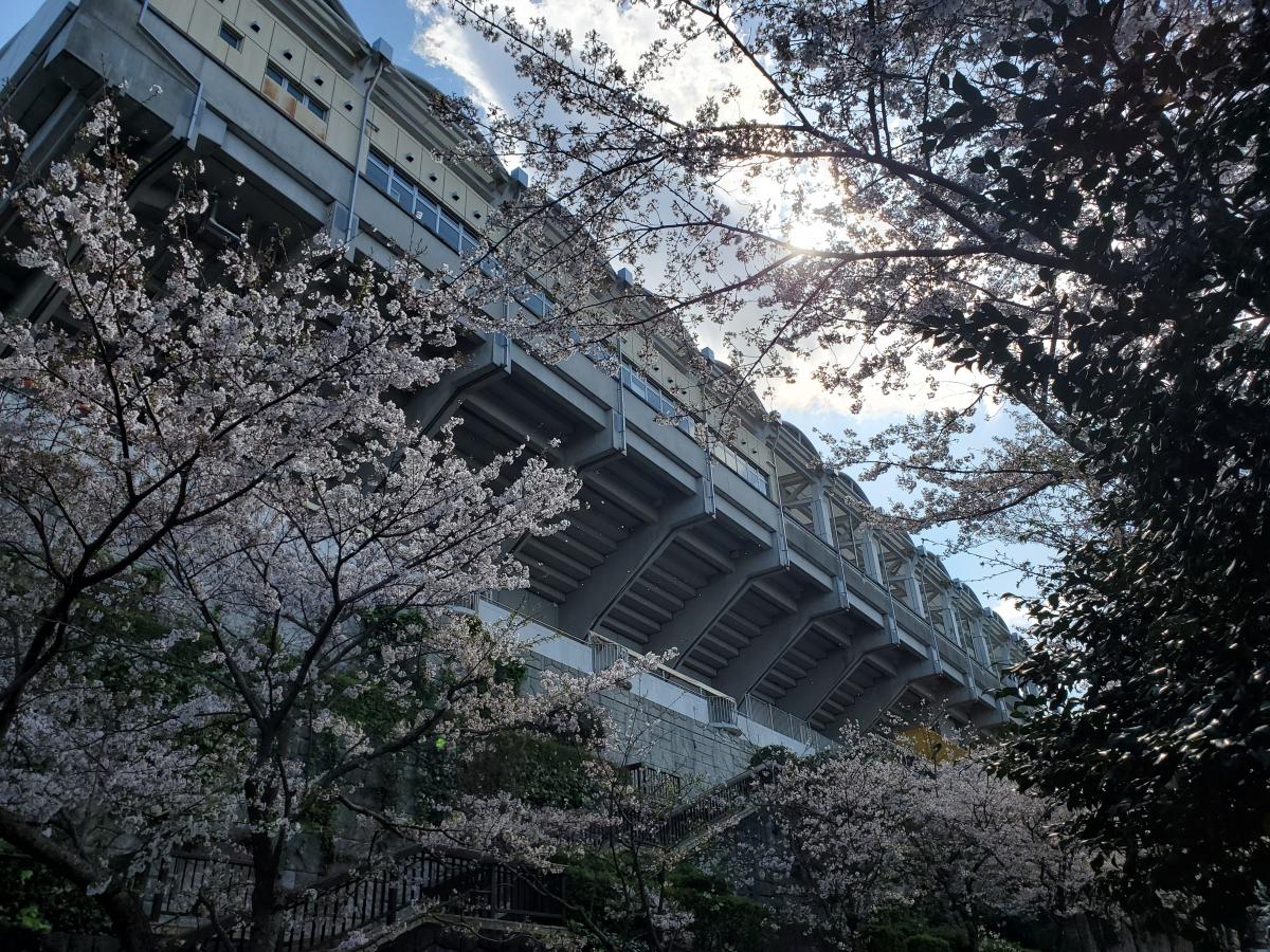 スポランド サッカーの聖地 ｉａｉスタジアム日本平 静岡市清水区 のお気に入りコメント 口コミ