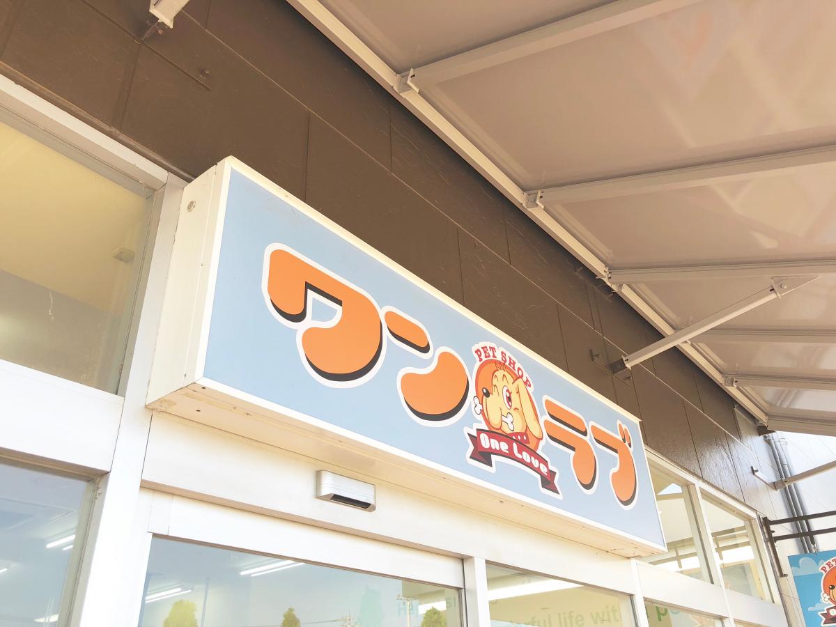 ワンラブ イオンタウン津城山店:投稿ユーザー写真集/ホームメイト ワンラブ イオンタウン津城山店:投稿ユーザー写真集/ホームメイト