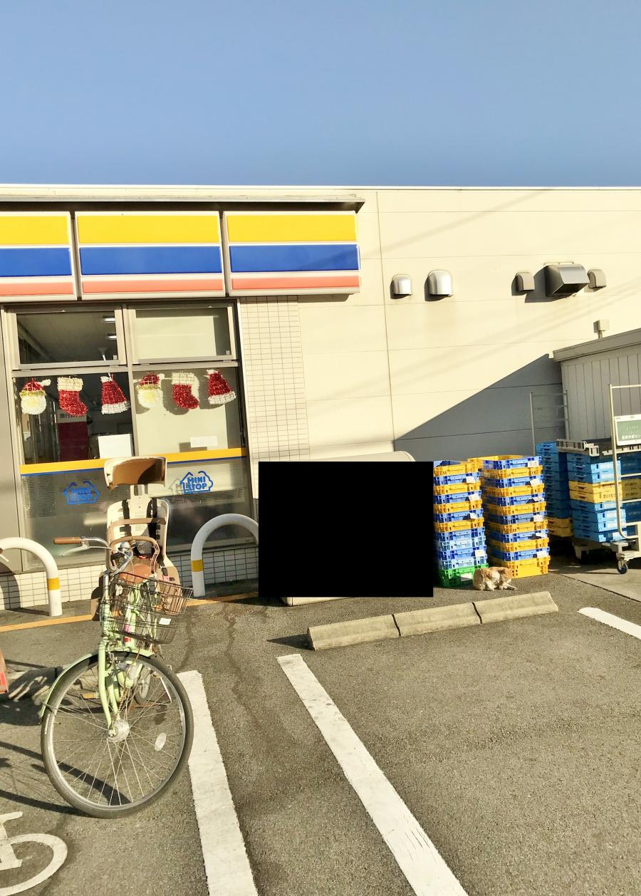 マーケットピア ミニストップ 名古屋廿軒家店 名古屋市守山区更屋敷