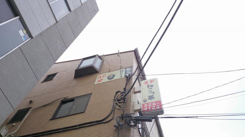 クックドア ねこっ茶