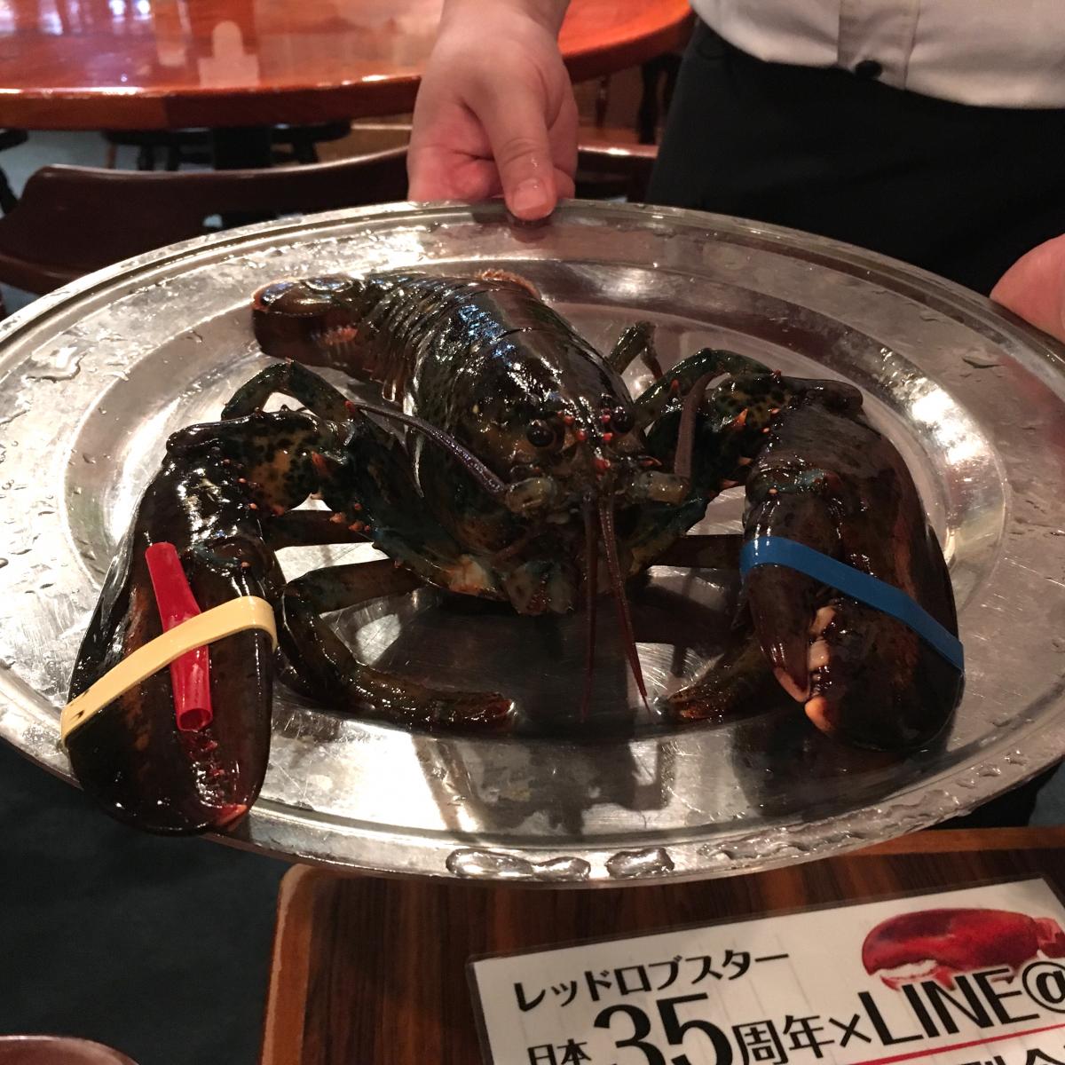 クックドア レッドロブスター 川口店 埼玉県