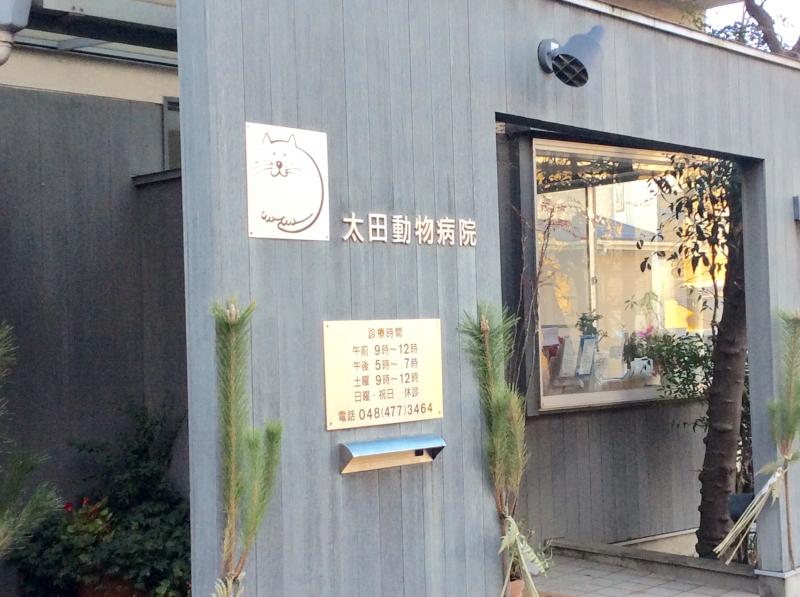 ドッグメディカル 太田動物病院 新座市栄