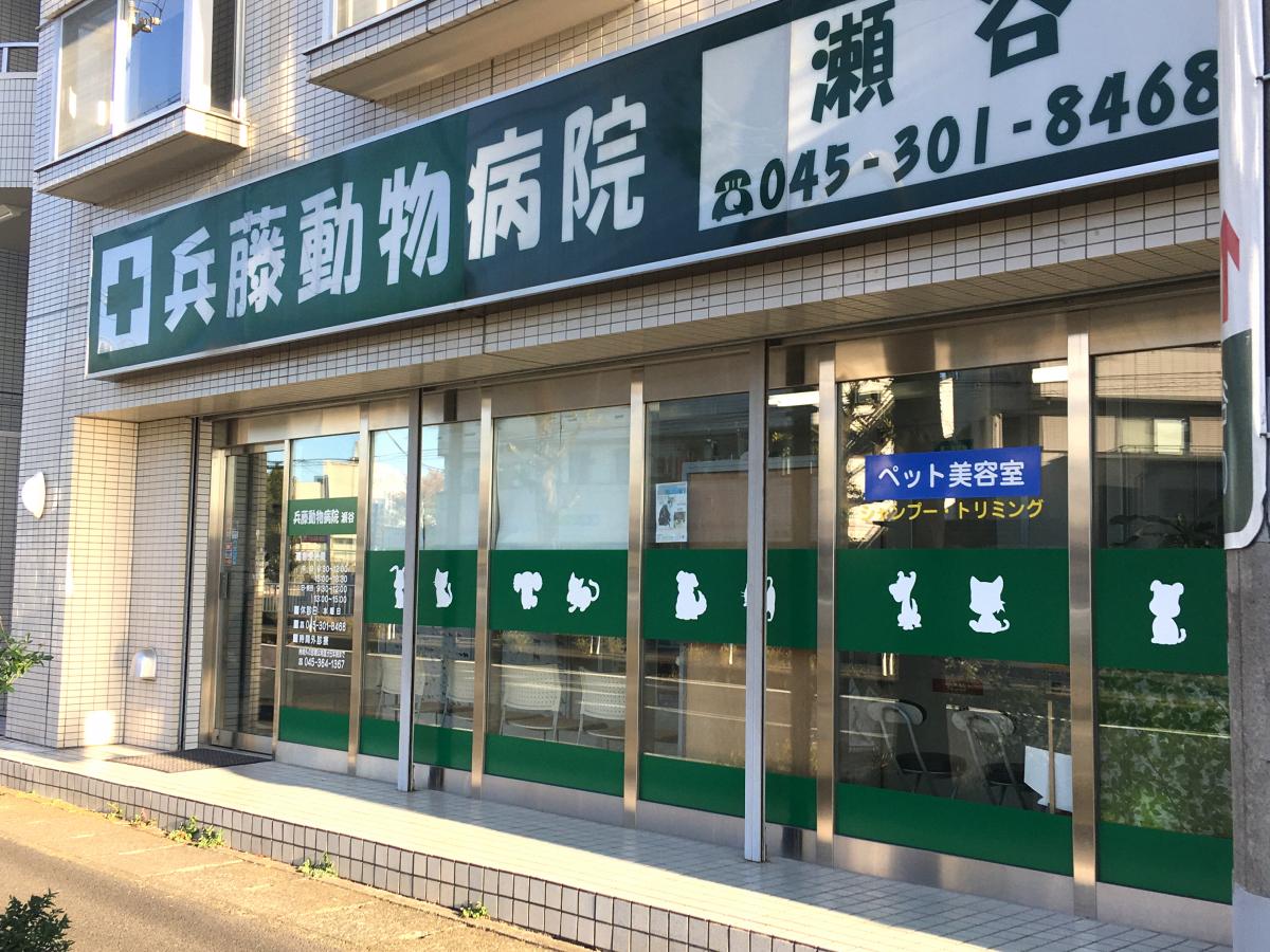 マーケットピア ペットショップｐｃｐ瀬谷 横浜市瀬谷区 周辺施設 口コミ 写真 動画