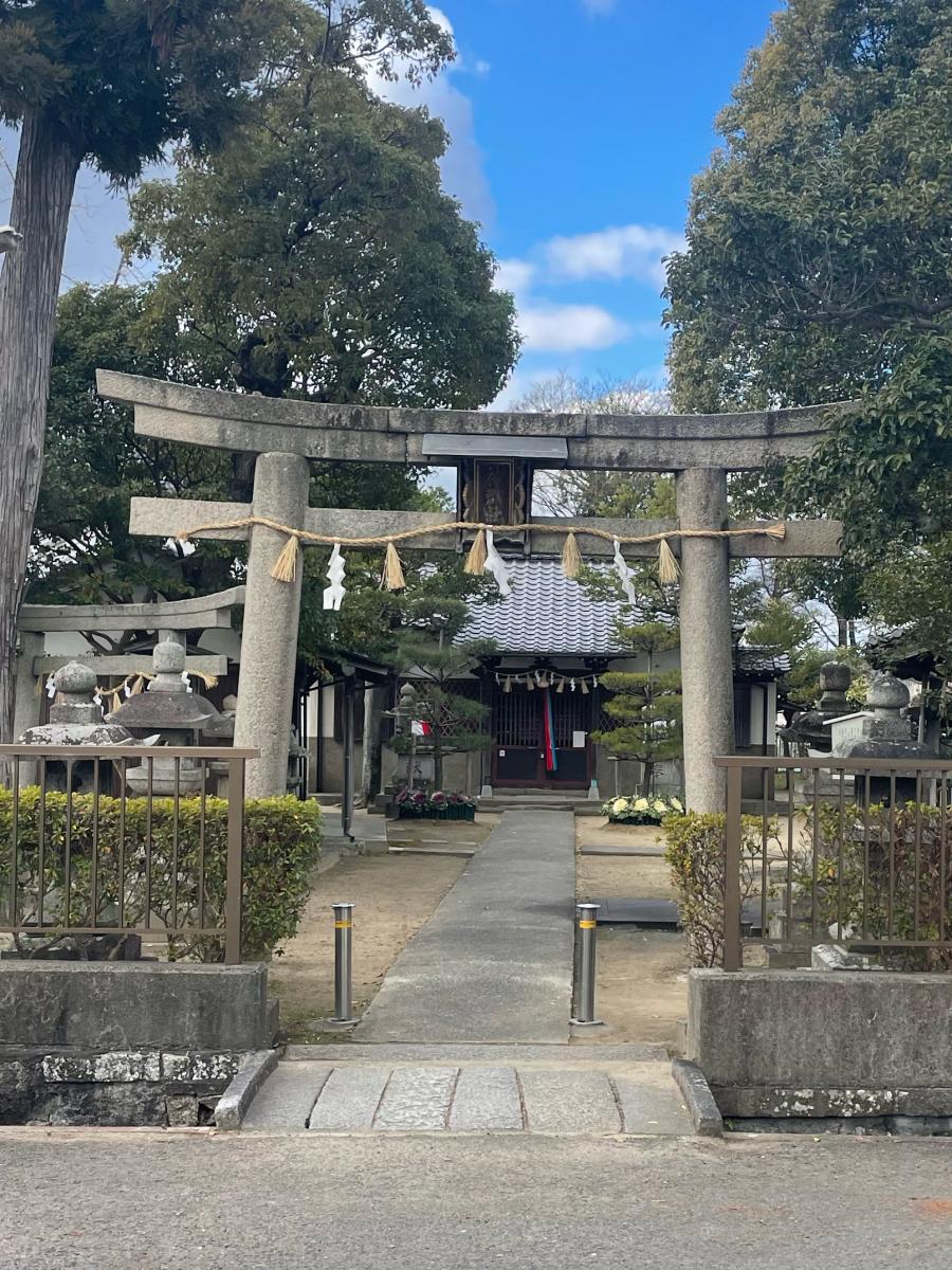 旅探 たびたん 最近投稿された口コミ 8ページ