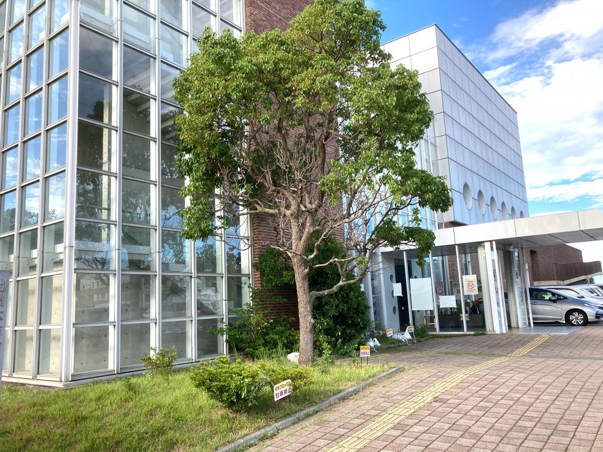 ドクターマップ 洲本市役所 健康福祉館応急診療所 洲本市港