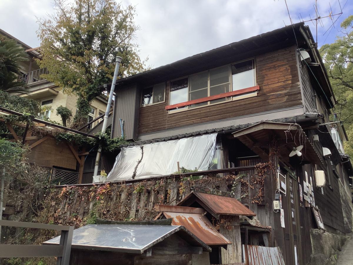 クックドア ねこ喫茶 ユトレヒト クックドア ねこ喫茶 ユトレヒト