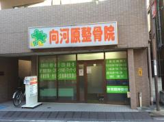 接骨ネット 向河原整骨院 川崎市中原区 周辺の生活施設情報